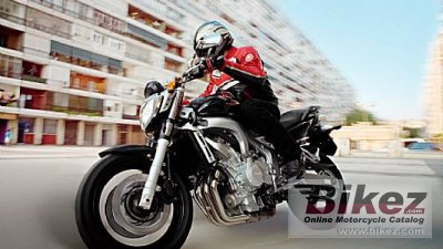 2008 Yamaha FZ6 photo